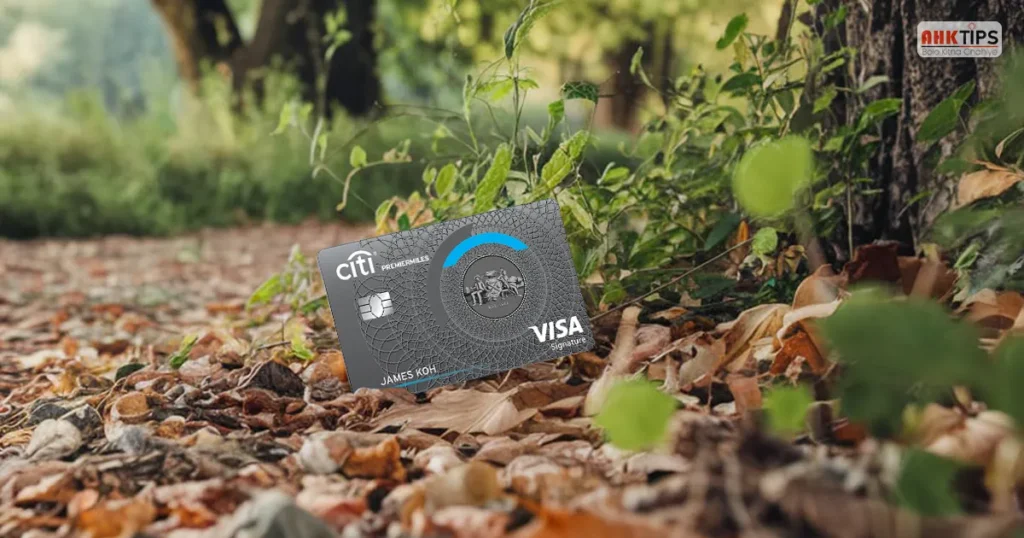 Citibank PremierMiles Credit Card 02